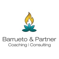 Barrueto&Partner logo - Similar company to Sehorsch Consulting