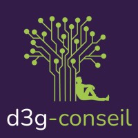 d3g-conseil logo - Similar company to Repér