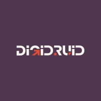 DigiDruid logo - Similar company to Byb Vision