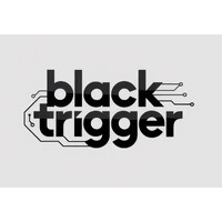 Blacktrigger logo - Similar company to Techpr Africa