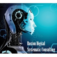 Boston Digital Systematic Consulting logo - Similar company to Idulk Hitech
