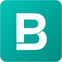 BigPicture.io logo - Similar company to Bigpicture