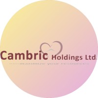 Cambric Holdings LTD. logo - Similar company to Mac Civil & Architectural Solutions
