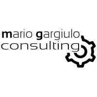 mg consulting