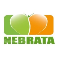 NEBRATA Consulting & Innovation logo - Similar company to Zepintel