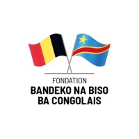 Bandeko Na Biso Foundation logo - Similar company to Ichec Formation Continue