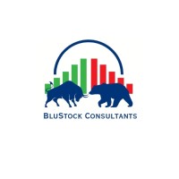 BluStock Consultants logo - Similar company to Ubnext