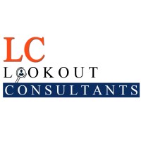 LookOut Consultants logo - Similar company to Micro Age Instruments Pvt Ltd