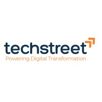 Techstreet Solutions Private Limited logo - Similar company to Shadow Infosystem (P) Limited