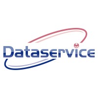 Dataservice LTD logo - Similar company to Peter-Service