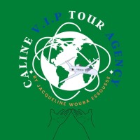 Caline Vip Tour Agency logo - Similar company to Mia Vip Tour