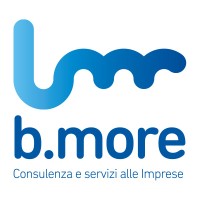 B.More logo - Similar company to Conforme S.R.L.