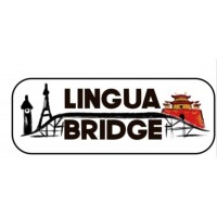 Lingua Bridge logo - Similar company to Super Empower Tech