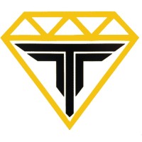Top Tier Talent logo - Similar company to Codepro Software, Llc
