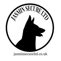 Jasmin Secure Ltd. logo - Similar company to Mueen