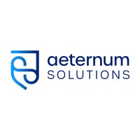 Aeternum Solutions GmbH & Co.KG logo - Similar company to Wise Connections