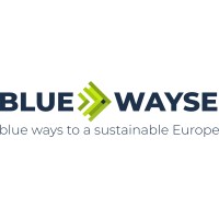 Bluewayse logo - Similar company to Alisost
