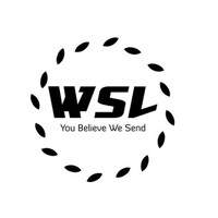 HONG KONG WE SEND LOGISTICS LIMITED logo - Similar company to Procargo Logistics Limited