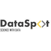 DataSpot Consulting