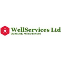 WellServices ltd logo - Similar company to Profel Srl