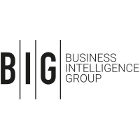 B.I.G. Business Intelligence Group Holding logo - Similar company to Petergentsch.Com