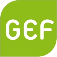 Green European Foundation logo - Similar company to Nudge