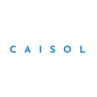 CAISOL logo - Similar company to Vector Technologies Llc