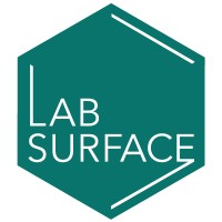 Labsurface logo - Similar company to Mindcore Technologies