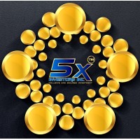 5x Investors Inc logo - Similar company to Geoparking Technologies, Inc.