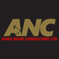 Agile NOW! Consulting Ltd. logo - Similar company to Med-X Pharmacy
