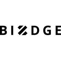 Bizdge Limited logo - Similar company to Xite Nootropics