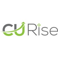CU Rise Analytics logo - Similar company to Crestwind Technologies (A Sdvosb Firm)