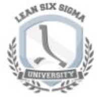 THE LEAN SIX SIGMA COMPANY MIDDLE EAST logo - Similar company to Luxalu Concept