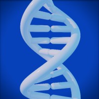 3DNA Medical Animation logo - Similar company to Cellex3D | Medical  Animation
