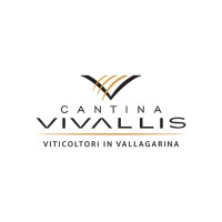 VIVALLIS sca logo - Similar company to Mkt (Shanghai) Co., Ltd.