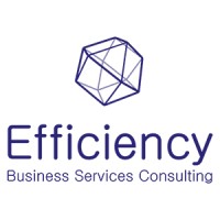 Efficiency Services Consulting