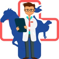 Doctor For Animals logo - Similar company to Docttocare