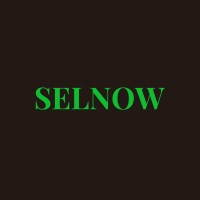 Selnow logo - Similar company to Digital Warriors