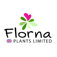 FLORNA PLANTS LIMITED logo - Similar company to Quantil Ltd