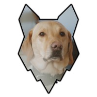 Fenrir Canine Leaders logo - Similar company to Comet Enterprises (Uk) Ltd