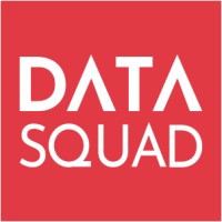 DataSquad logo - Similar company to Data Squad