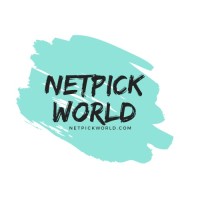 Netpick World logo - Similar company to Tranxition Software