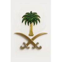 Raid M Ashi Financial Consulting (Non-Securities) logo - Similar company to Saudi Startups Experts