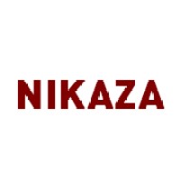 Nikaza, Inc logo - Similar company to Hypermindz.Ai