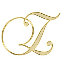 Zaya Co, LLC. logo - Similar company to We Interpret