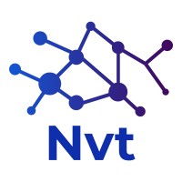 NVT TEKSTIL TEKNOLOJI DANISMANLIK SANAYI TICARET LIMITED SIRKETI logo - Similar company to Crt Group Outsourcing Consultancy