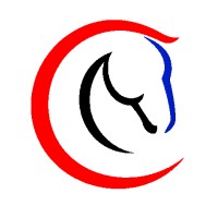 Checkpoint One, 501c3 logo - Similar company to Imedia Northside Inc.