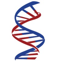 Synergy Medical Recruiters, Inc. logo - Similar company to Execulinks