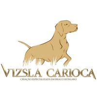 Vizsla Carioca logo - Similar company to Bazzah
