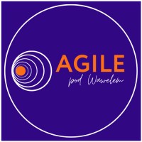 AGILE pod Wawelem logo - Similar company to Spin - Service Process Improvement Network